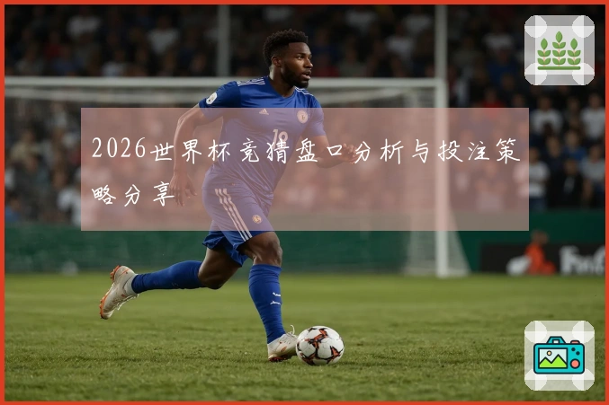 2026世界杯竞猜盘口分析与投注策略分享