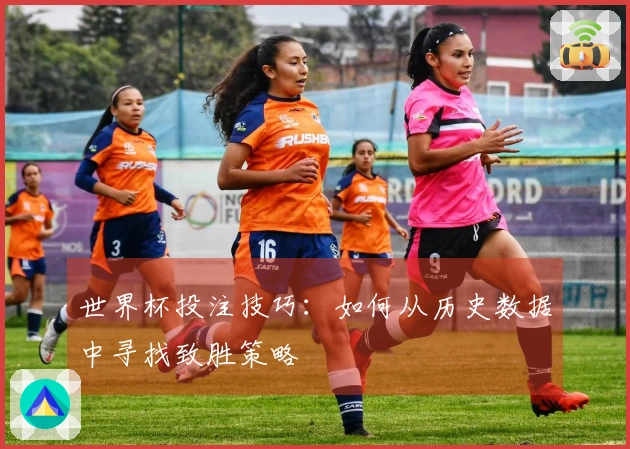 世界杯投注技巧:如何从历史数据中寻找致胜策略