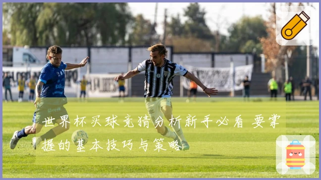 世界杯买球竞猜分析新手必看 要掌握的基本技巧与策略