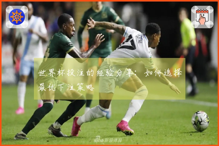 世界杯投注的经验分享：如何选择最优下注策略
