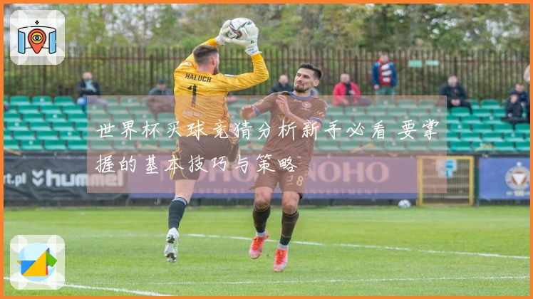 世界杯买球竞猜分析新手必看 要掌握的基本技巧与策略