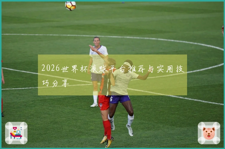 2026世界杯滚球平台推荐与实用技巧分享