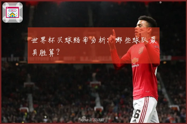世界杯买球赔率分析：哪些球队最具胜算？