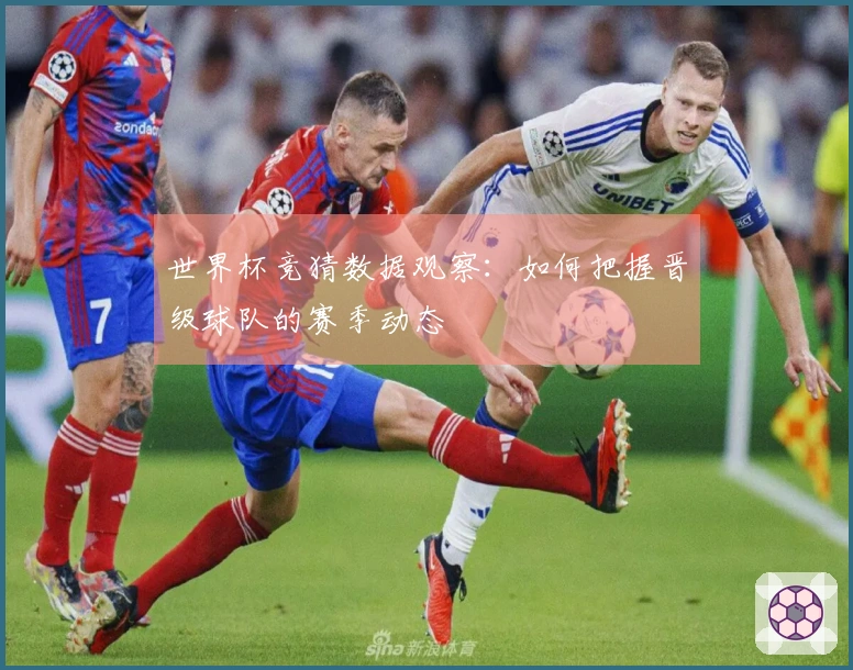 世界杯竞猜数据观察：如何把握晋级球队的赛季动态