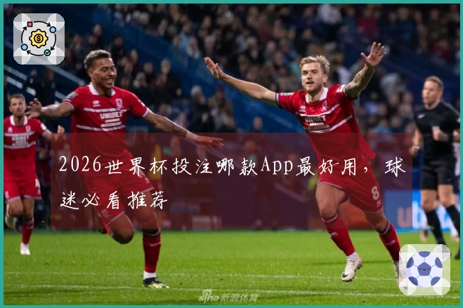 2026世界杯投注哪款App最好用，球迷必看推荐