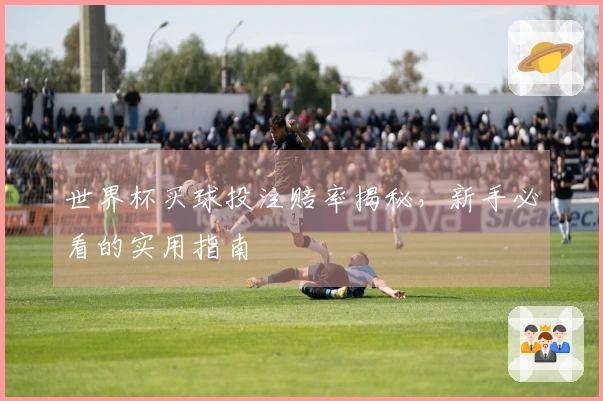 世界杯买球投注赔率揭秘，新手必看的实用指南