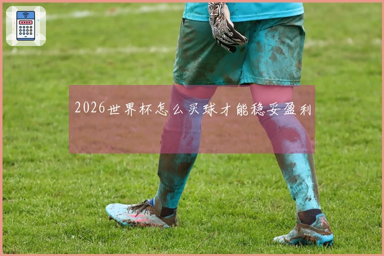 2026世界杯怎么买球才能稳妥盈利