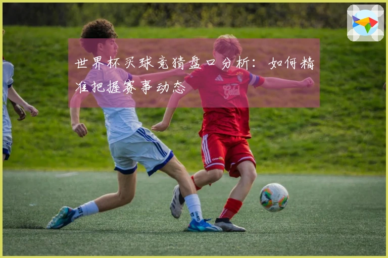 世界杯买球竞猜盘口分析：如何精准把握赛事动态