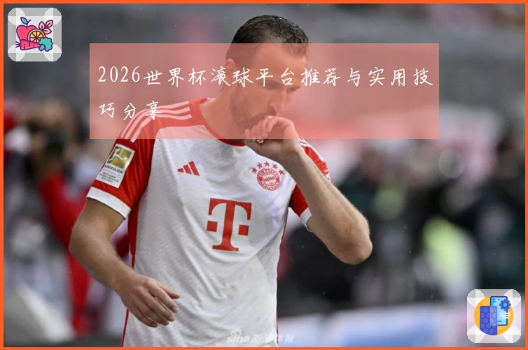 2026世界杯滚球平台推荐与实用技巧分享