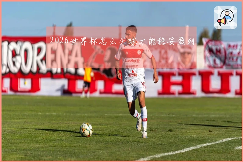 2026世界杯怎么买球才能稳妥盈利